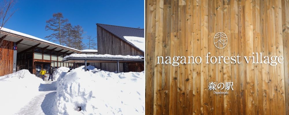 長野市必去景點推薦_千年歷史善光寺_戶隱神社百年杉木林道_Nagano forest village森之站雪地帳篷享受美食