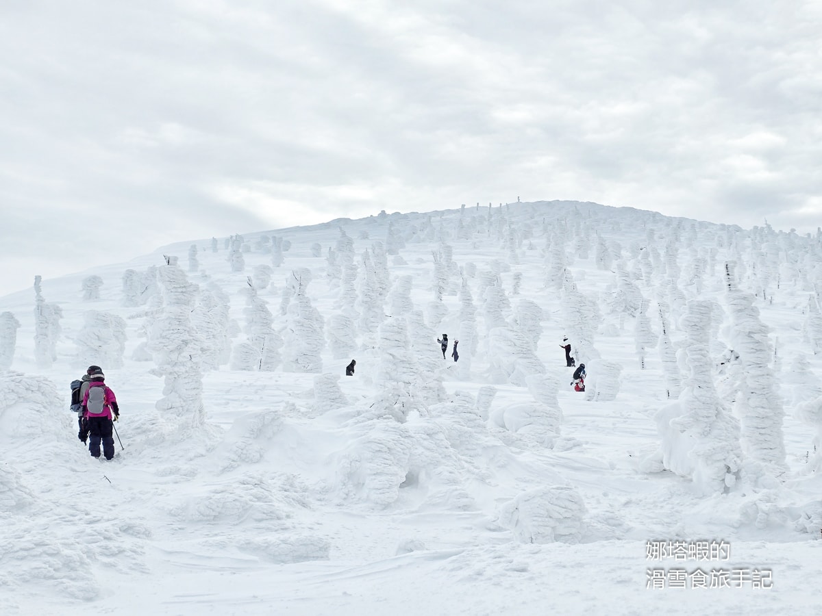 藏王滑雪場攻略_藏王樹冰一生必看奇景