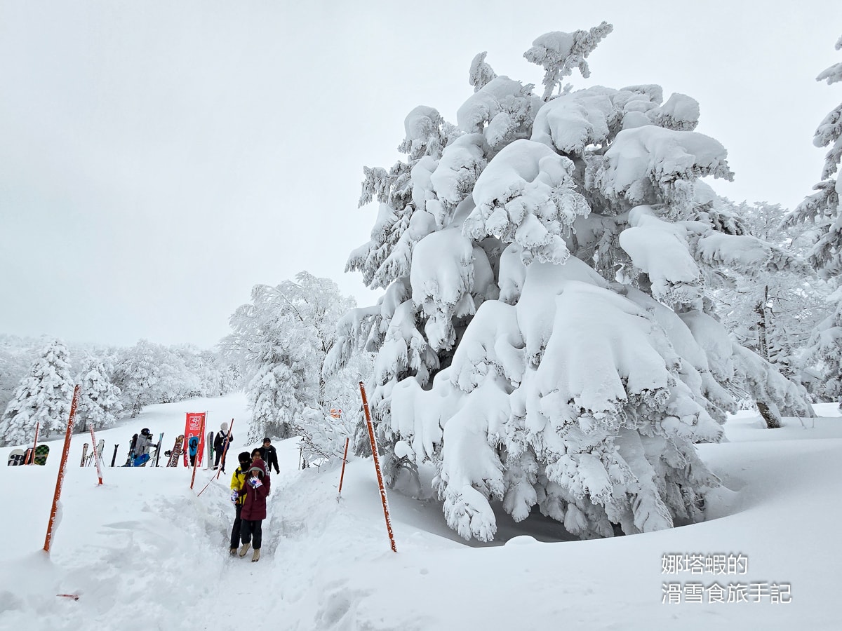 藏王滑雪場攻略_藏王樹冰一生必看奇景