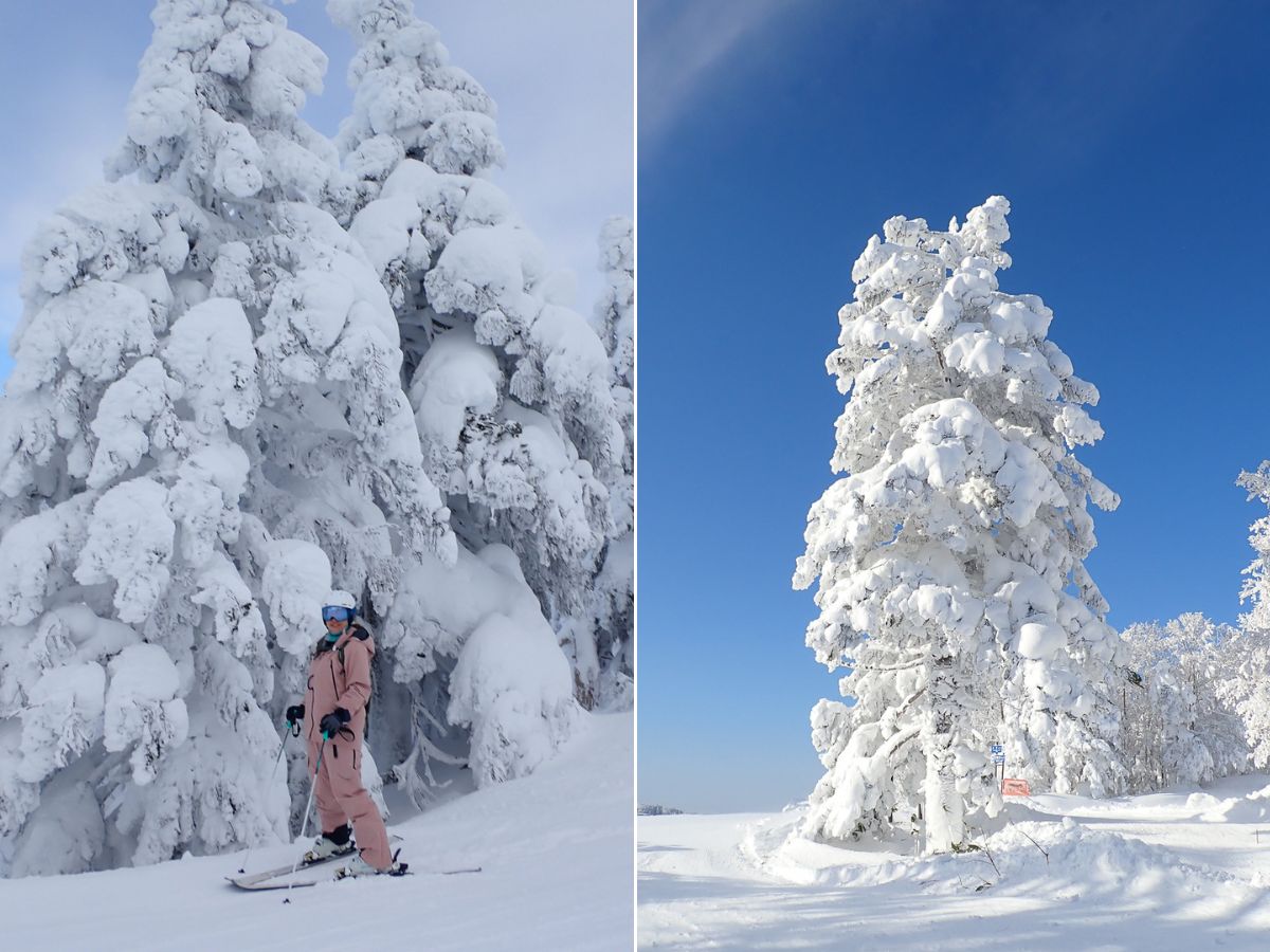 藏王滑雪場攻略2026｜藏王樹冰一生必看奇景，開放時間、適合初學者嗎?