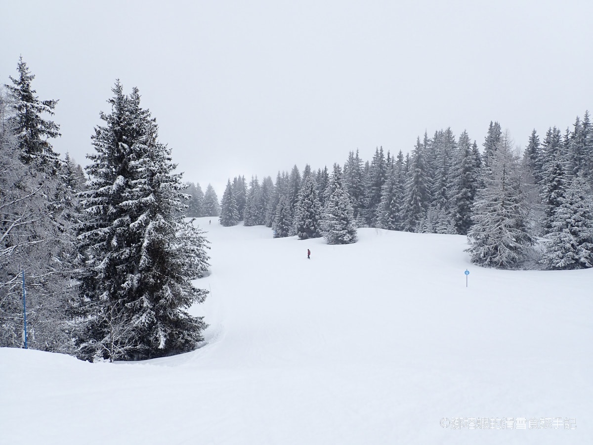 法國夏慕尼滑雪全攻略｜交通、地理環境、5大滑雪區特色與票價資訊，法國阿爾卑斯山自由行必讀