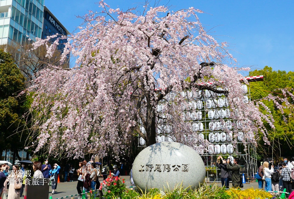 東京免費景點攻略_上野公園