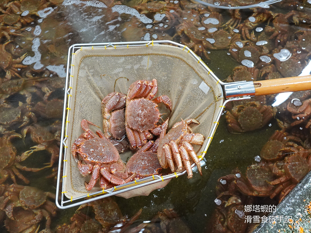 北海道螃蟹餐廳_白老螃蟹王Kanio帝王蟹_毛蟹現撈現煮的極致鮮甜_絕對必吃