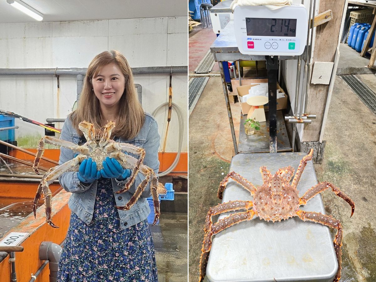 北海道螃蟹餐廳_白老螃蟹王Kanio帝王蟹_毛蟹現撈現煮的極致鮮甜_絕對必吃