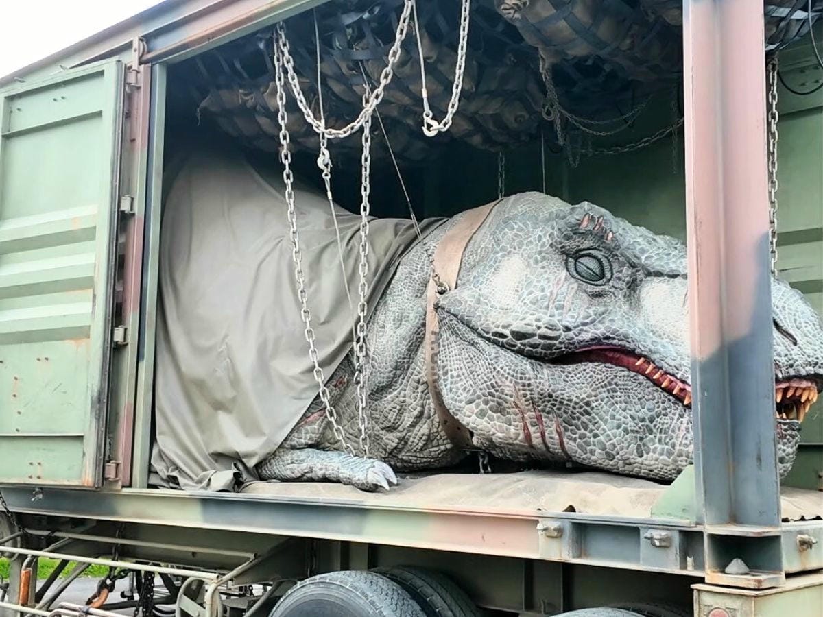 沖繩Junglia叢麗亞樂園_最新Junglia設施服務介紹&心得，必玩攻略讓你不踩雷