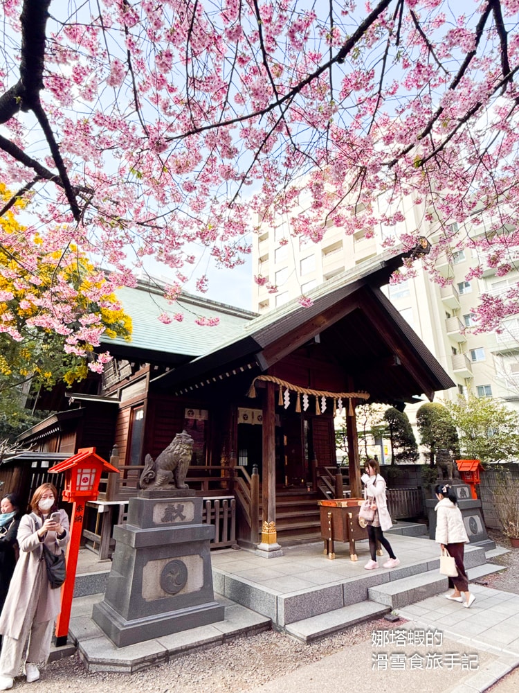 東京賞櫻景點推薦「藏前神社」粉嫩櫻花與金合歡為春天染上最美色彩,最佳賞櫻時間分享 - 第3張圖 東京賞櫻景點推薦「藏前神社」粉嫩櫻花與金合歡為春天染上最美色彩,最佳賞櫻時間分享