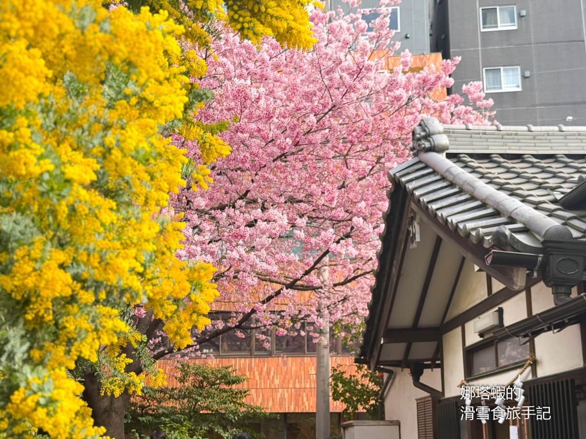 東京賞櫻景點推薦「藏前神社」粉嫩櫻花與金合歡為春天染上最美色彩,最佳賞櫻時間分享 - 第7張圖 東京賞櫻景點推薦「藏前神社」粉嫩櫻花與金合歡為春天染上最美色彩,最佳賞櫻時間分享