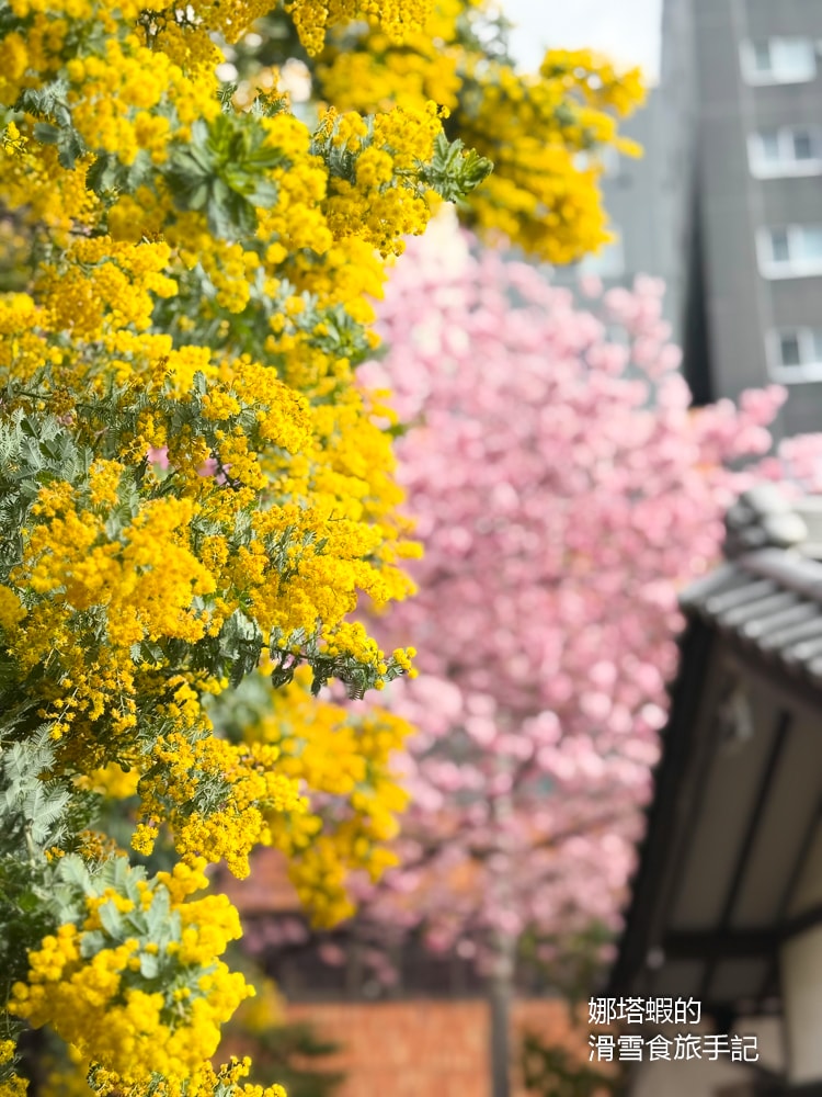 東京賞櫻景點推薦「藏前神社」粉嫩櫻花與金合歡為春天染上最美色彩,最佳賞櫻時間分享 - 第8張圖 東京賞櫻景點推薦「藏前神社」粉嫩櫻花與金合歡為春天染上最美色彩,最佳賞櫻時間分享