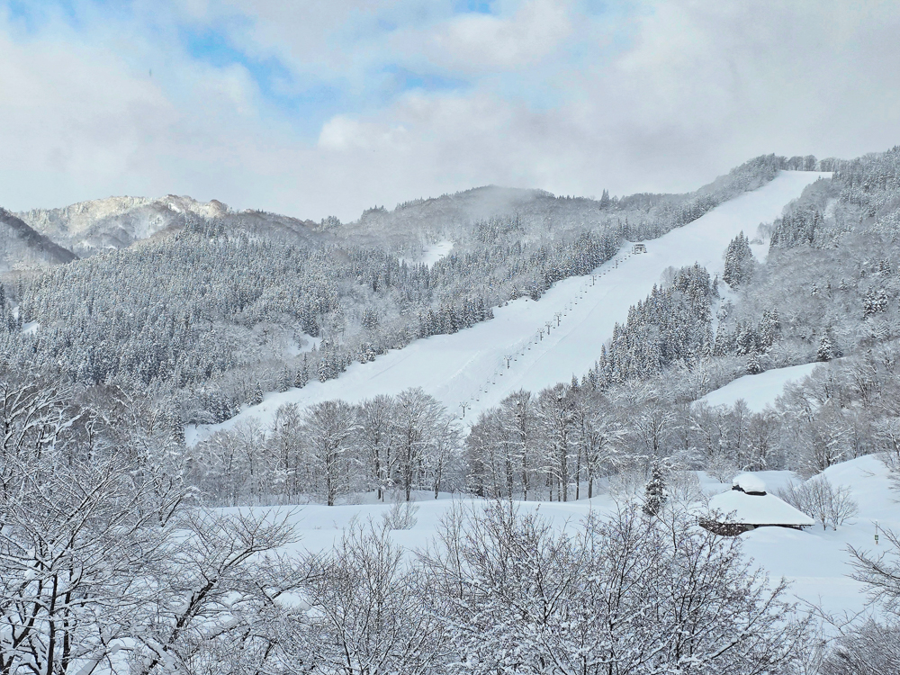 冬天的山形朝日町好好玩! 滑雪、雪地摩托車、雪蘋果、小木屋住宿體驗