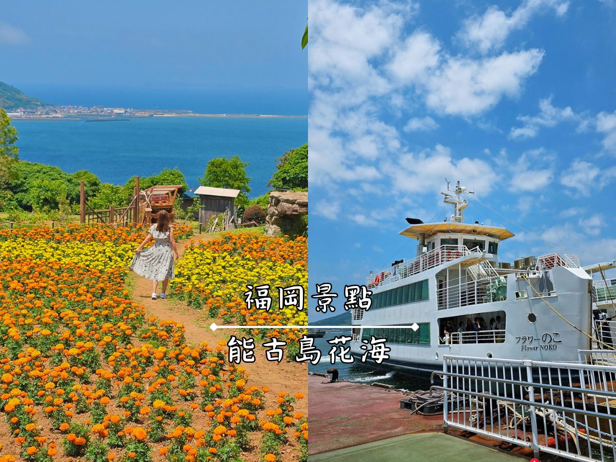 福岡能古島半日遊行程_能古島海島公園的絕美海景&花海_交通攻略