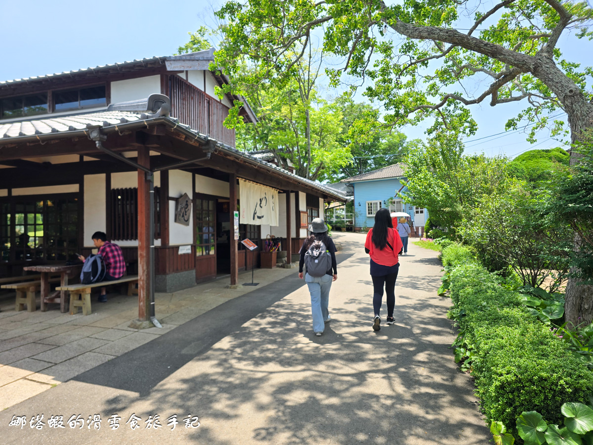 福岡能古島半日遊行程_能古島海島公園的絕美海景&花海_交通攻略
