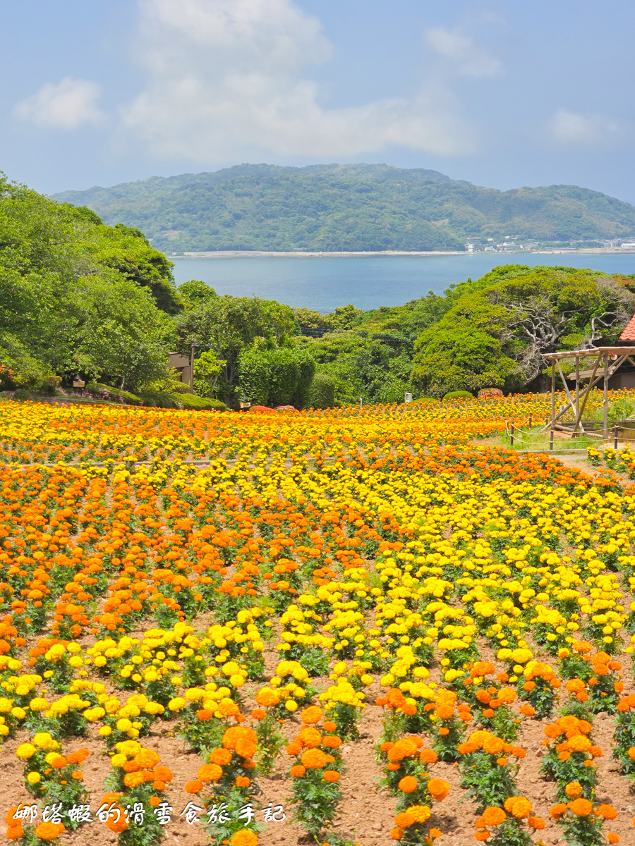 福岡能古島半日遊行程_能古島海島公園的絕美海景&花海_交通攻略