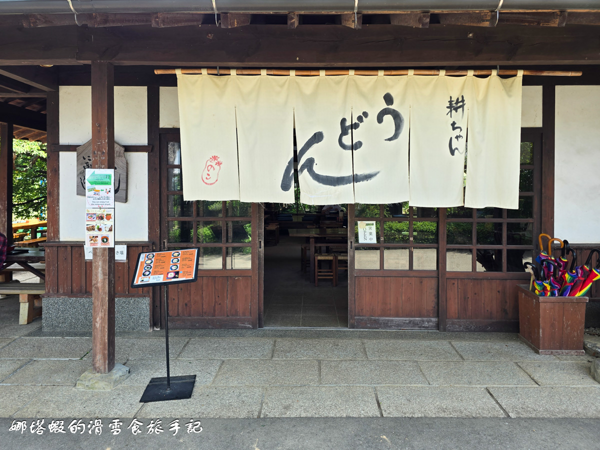 福岡能古島半日遊行程_能古島海島公園的絕美海景&花海_交通攻略