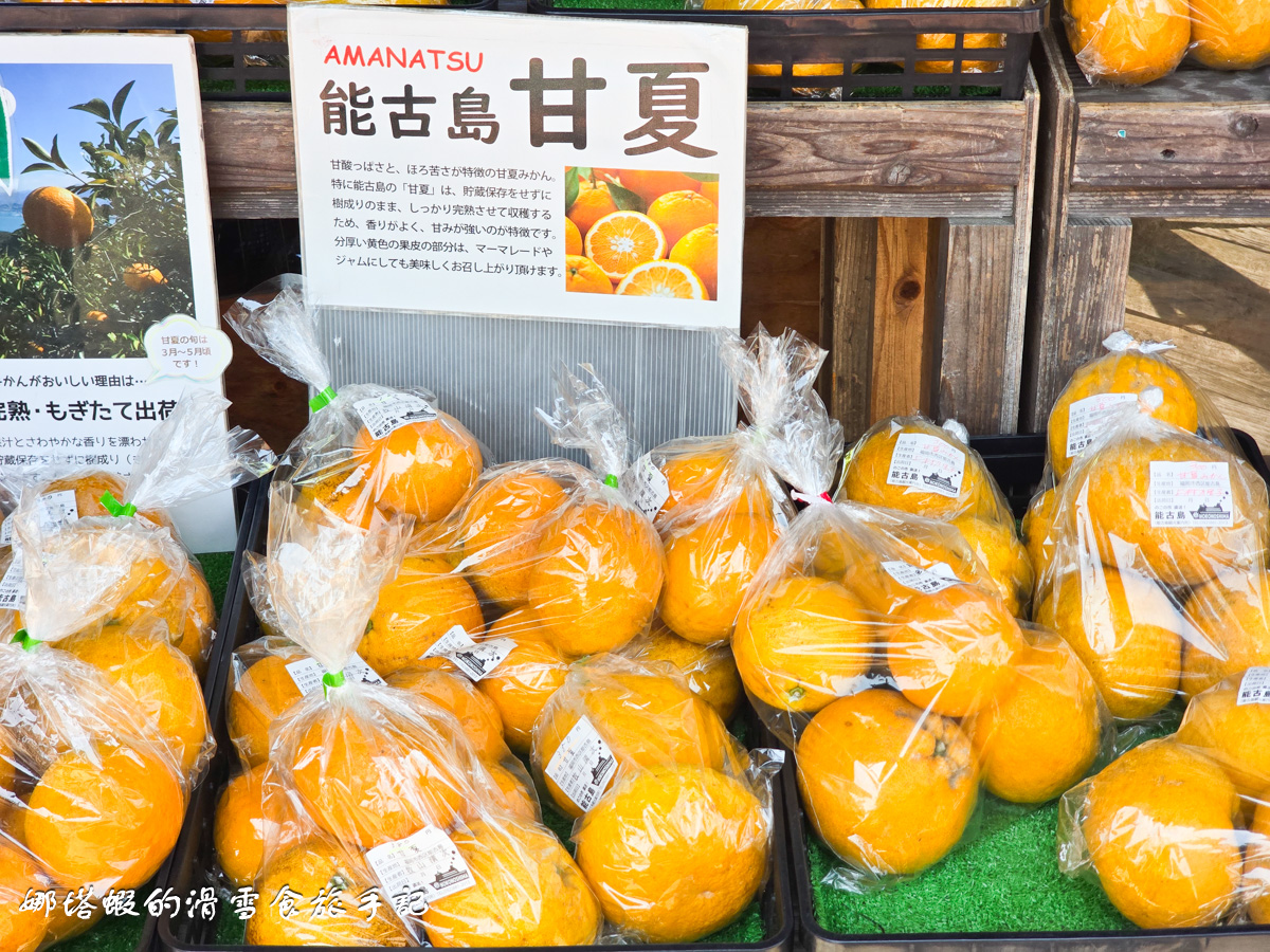 福岡能古島半日遊行程_能古島海島公園的絕美海景&花海_交通攻略