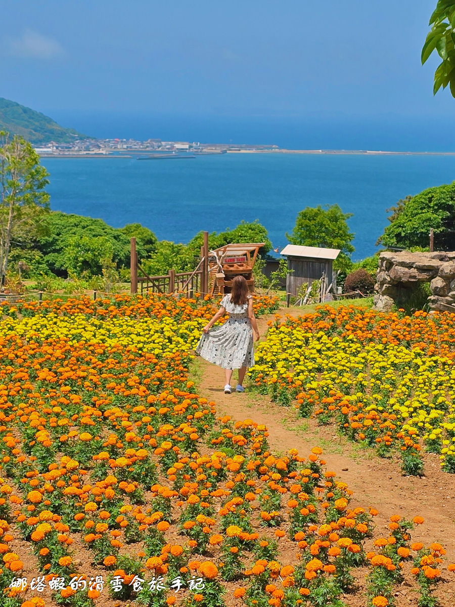 福岡能古島半日遊行程_能古島海島公園的絕美海景&花海_交通攻略