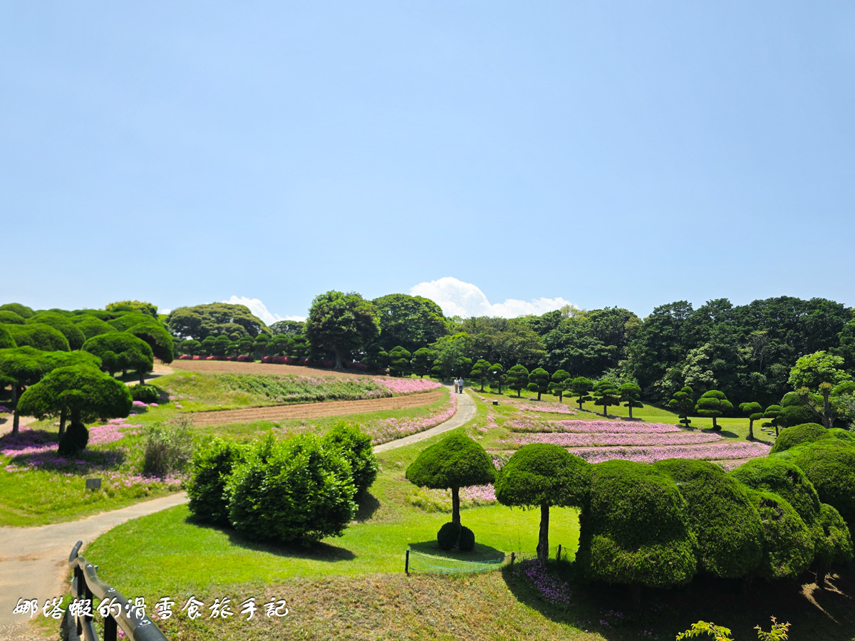 福岡能古島半日遊行程_能古島海島公園的絕美海景&花海_交通攻略