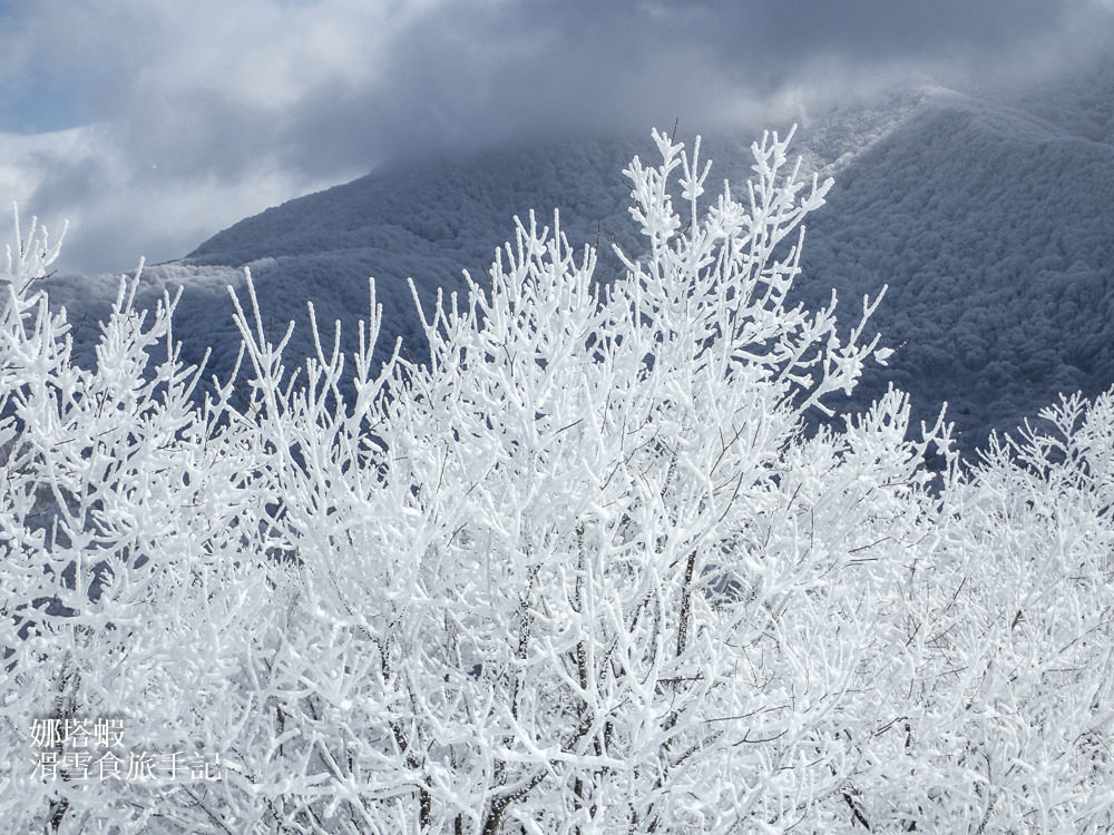 日本滑雪｜ALTS磐梯滑雪場，鬆雪、跳台、Snowcat Tour隨你玩