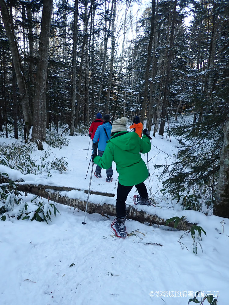 Club Med Tomamu 雪鞋健行，森林中的冒險旅程、遇見野生山豬! 