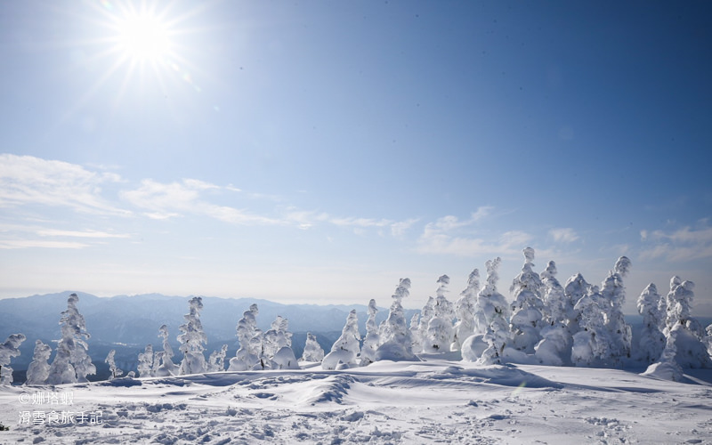 秋田阿仁滑雪場全攻略｜賞樹冰、衝鬆雪，和秋田犬一起玩耍！