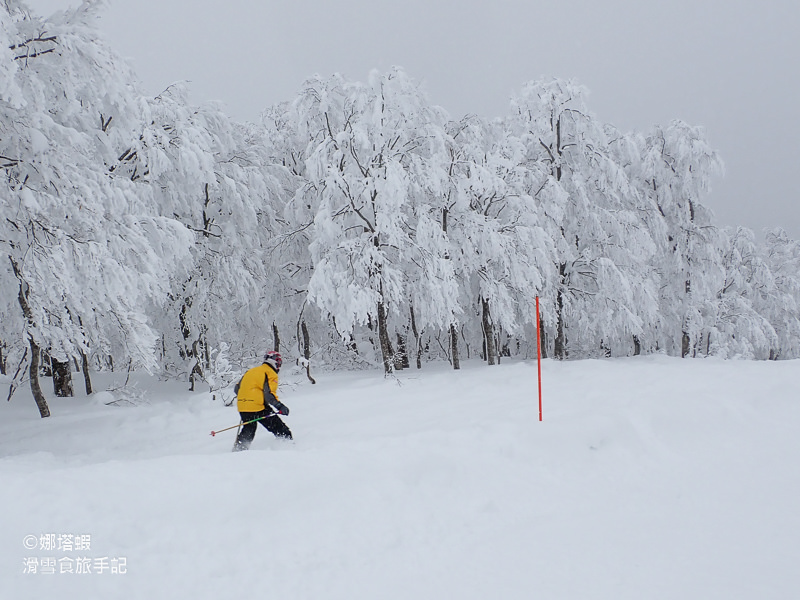 秋田阿仁滑雪場全攻略｜賞樹冰、衝鬆雪，和秋田犬一起玩耍！